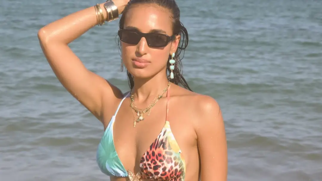 Description of the pic