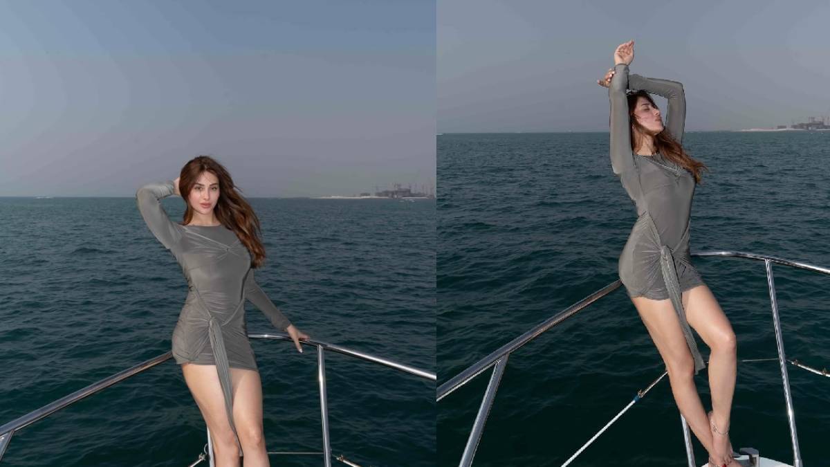 Description of the pic