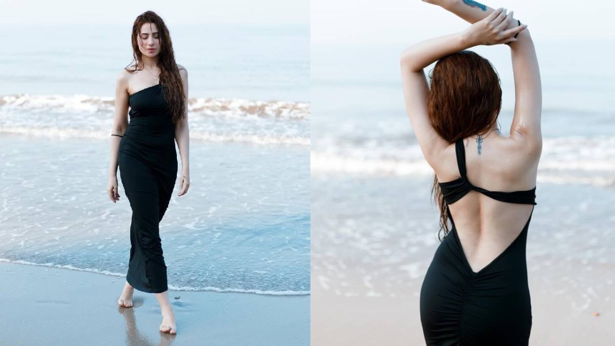 Description of the pic