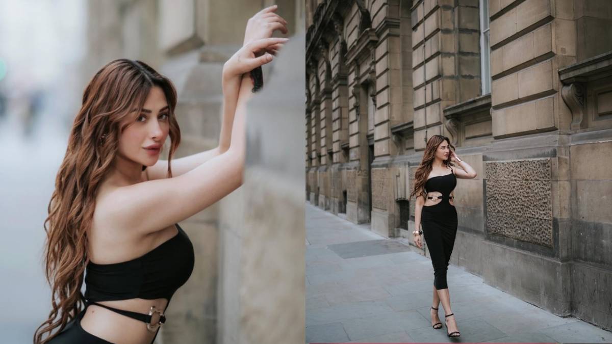 Description of the pic