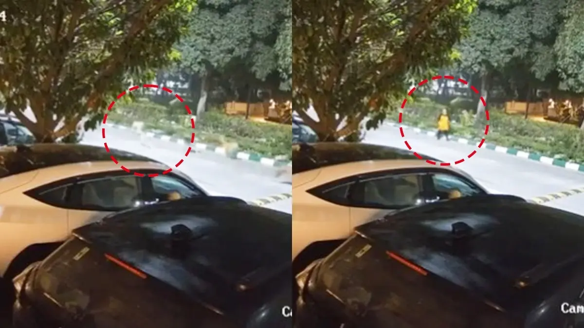 Major Protests Break Out in Greater Noida’s Jaypee Greens After Video of Stray Dogs Lunging At Woman Goes Viral Major Protests Break Out in Greater Noida’s Jaypee Greens After Video of Stray Dogs Lunging At Woman Goes Viral