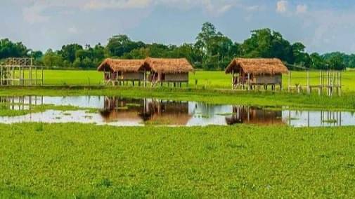 Description of the pic