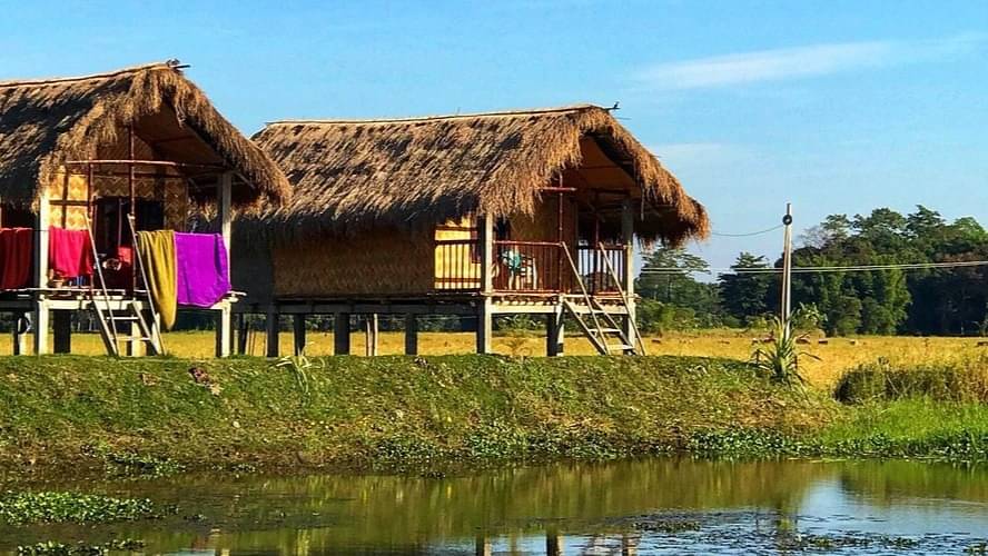 Description of the pic