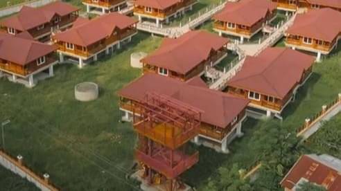 Description of the pic