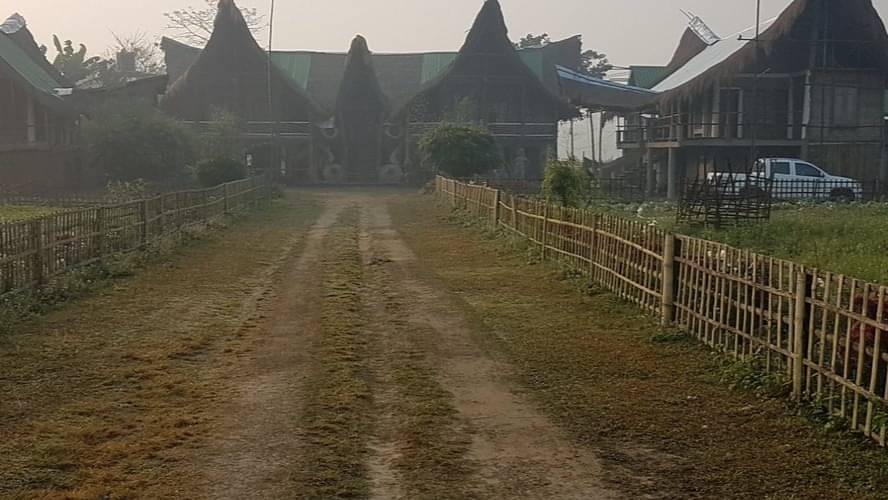 Description of the pic