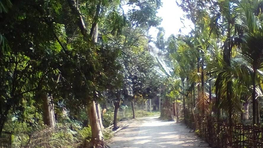 Description of the pic