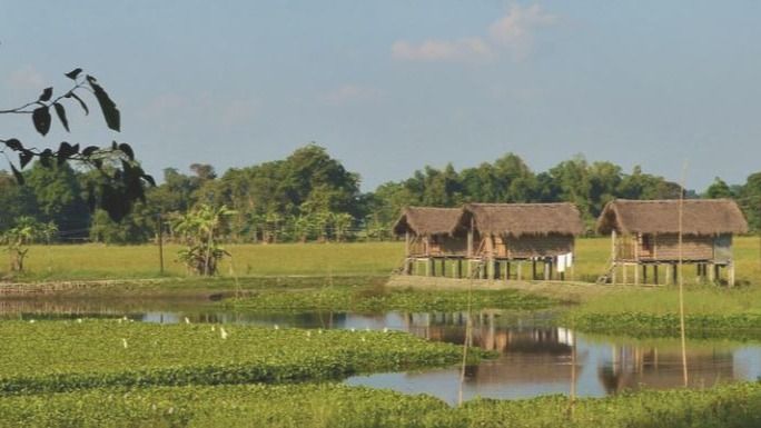 Majuli 