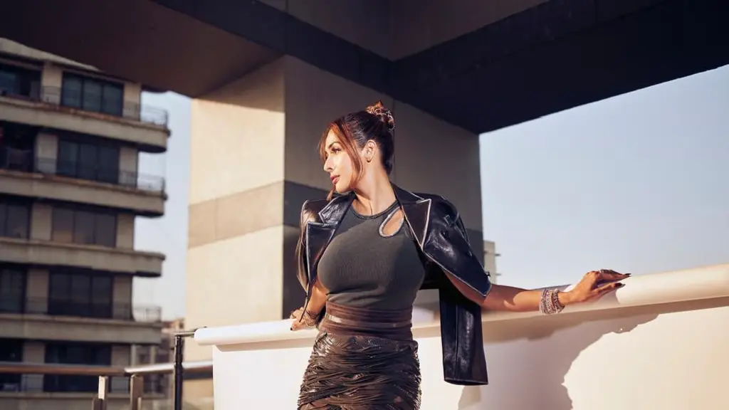 Description of the pic