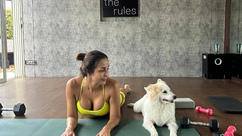 Description of the pic