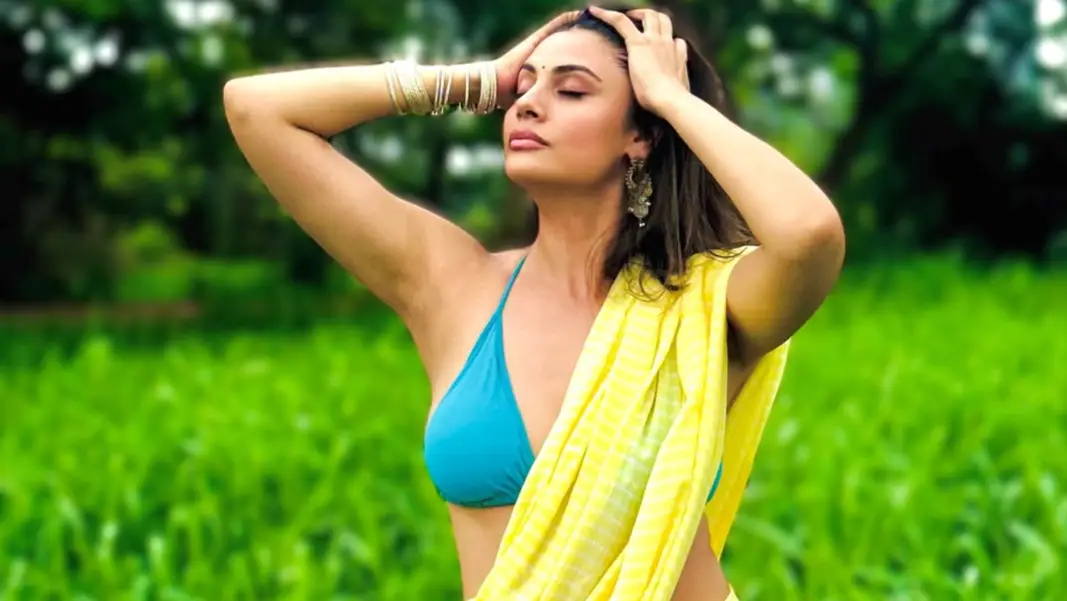 Description of the pic