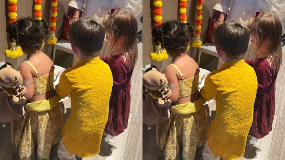 Description of the pic