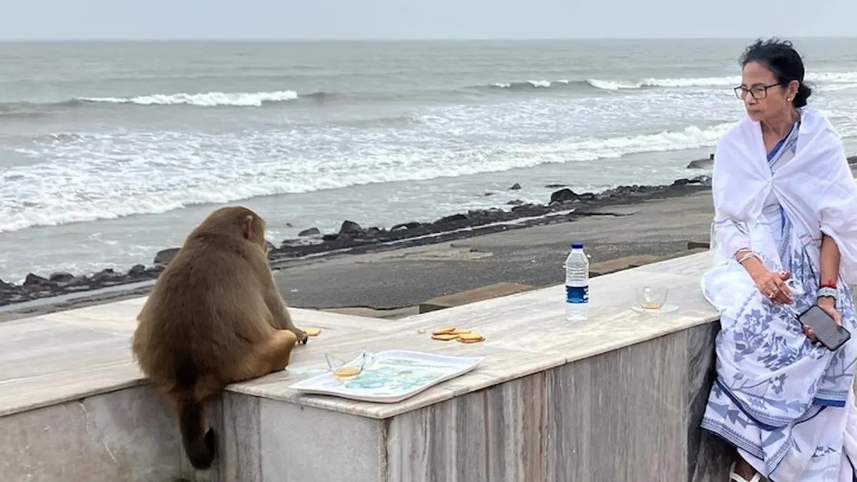 Mamata Banerjee, tea by sea