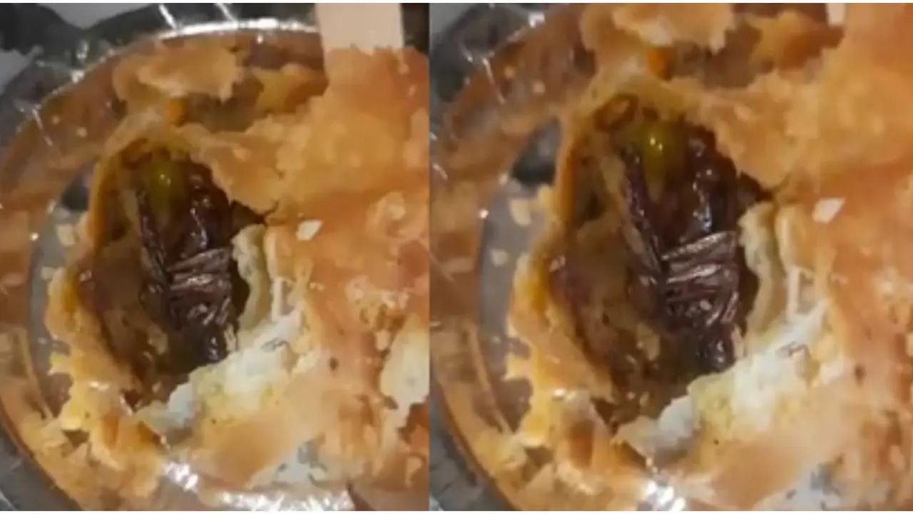 "Man Discovers Cockroach in Samosa at Greater Noida Restaurant, Video Goes Viral