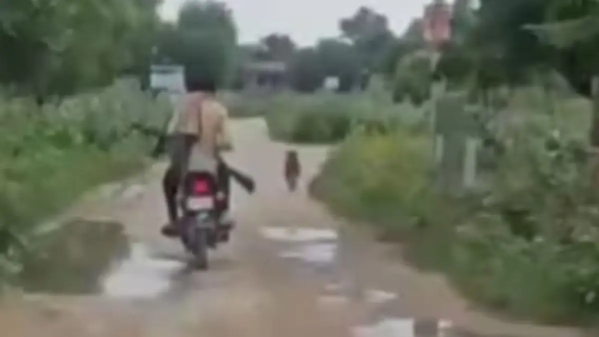 SHOCKING | Rajasthan Man Kills 25 Dogs In Two Days By Chasing Them; Video Provoked Outrage Man Kills 25 Dogs In Two Days By Chasing Them; Video Provoked Outrage