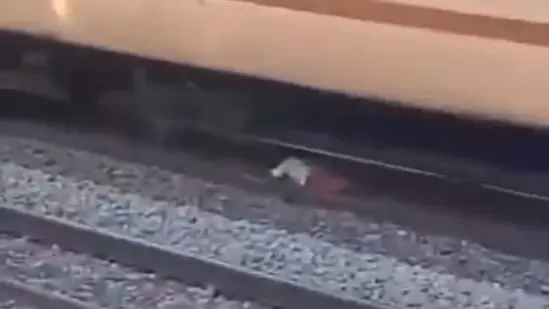 Man Narrowly Escapes As Train Speeds Over Him In Kerala