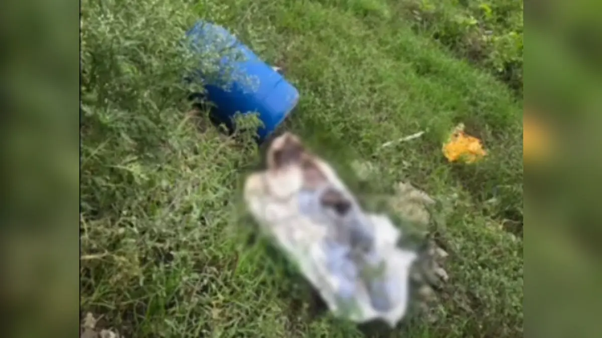 Man's decomposed body found in a drum in Ludhiana.