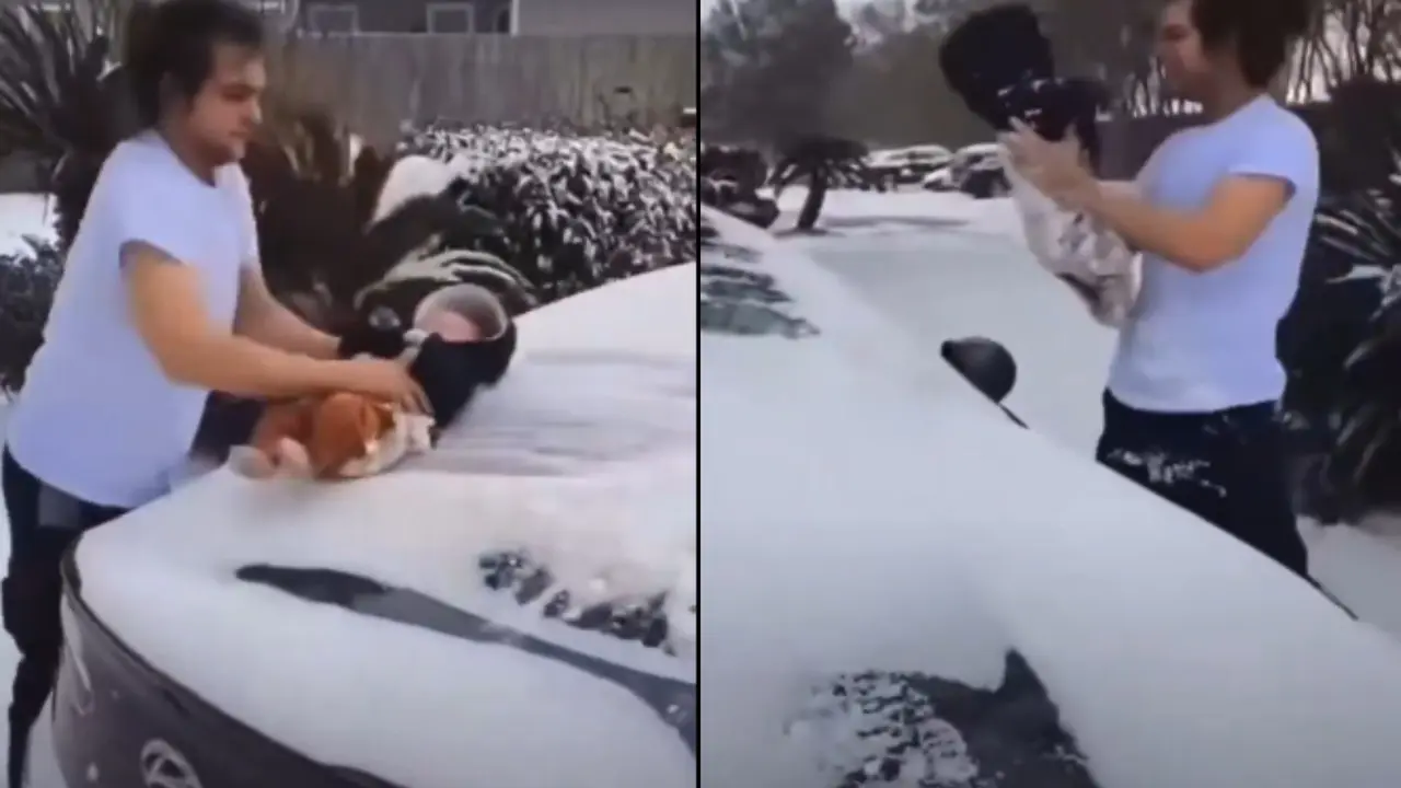 Man Uses Child to Wipe off Snow, Viral Video