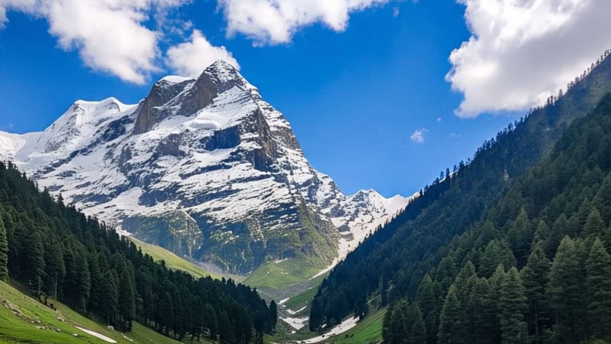 Description of the pic