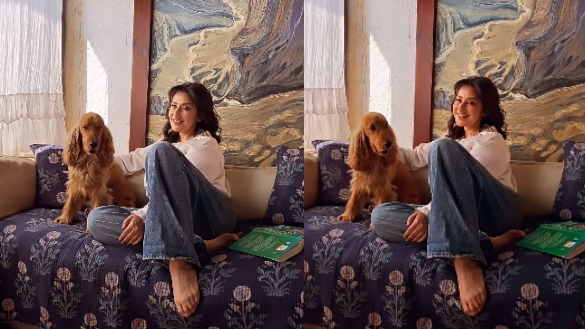 Description of the pic