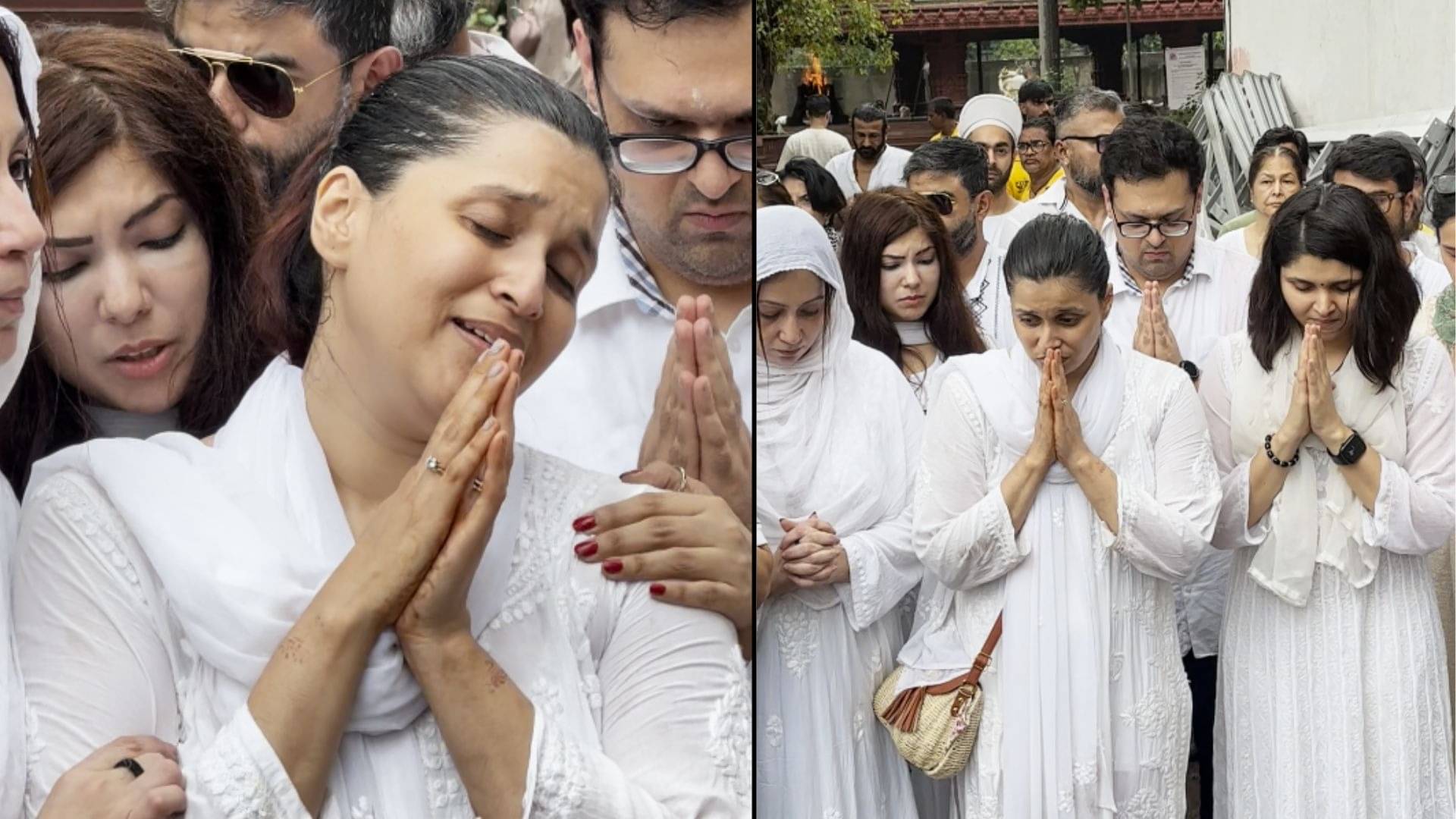 Description of the pic