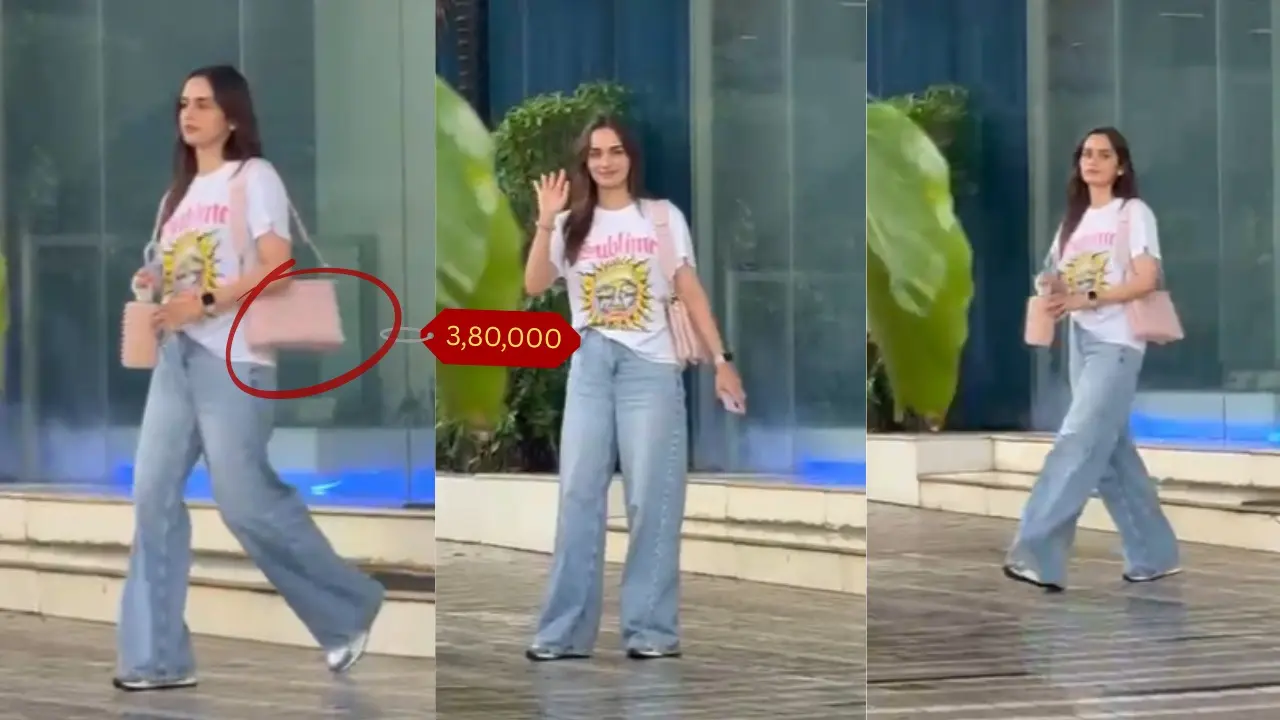 Manushi Chhillar's LV Bag