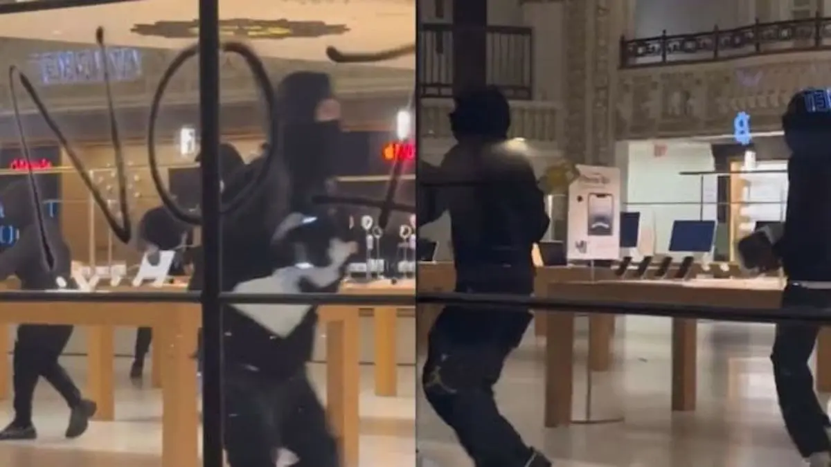 Masked Men Loot Apple Store in Downtown LA During Protests | WATCH
