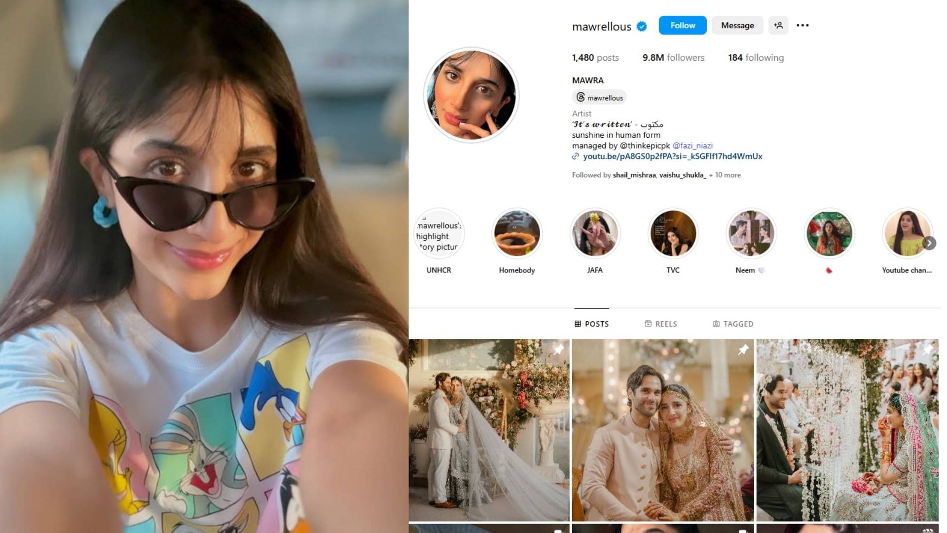 Description of the pic