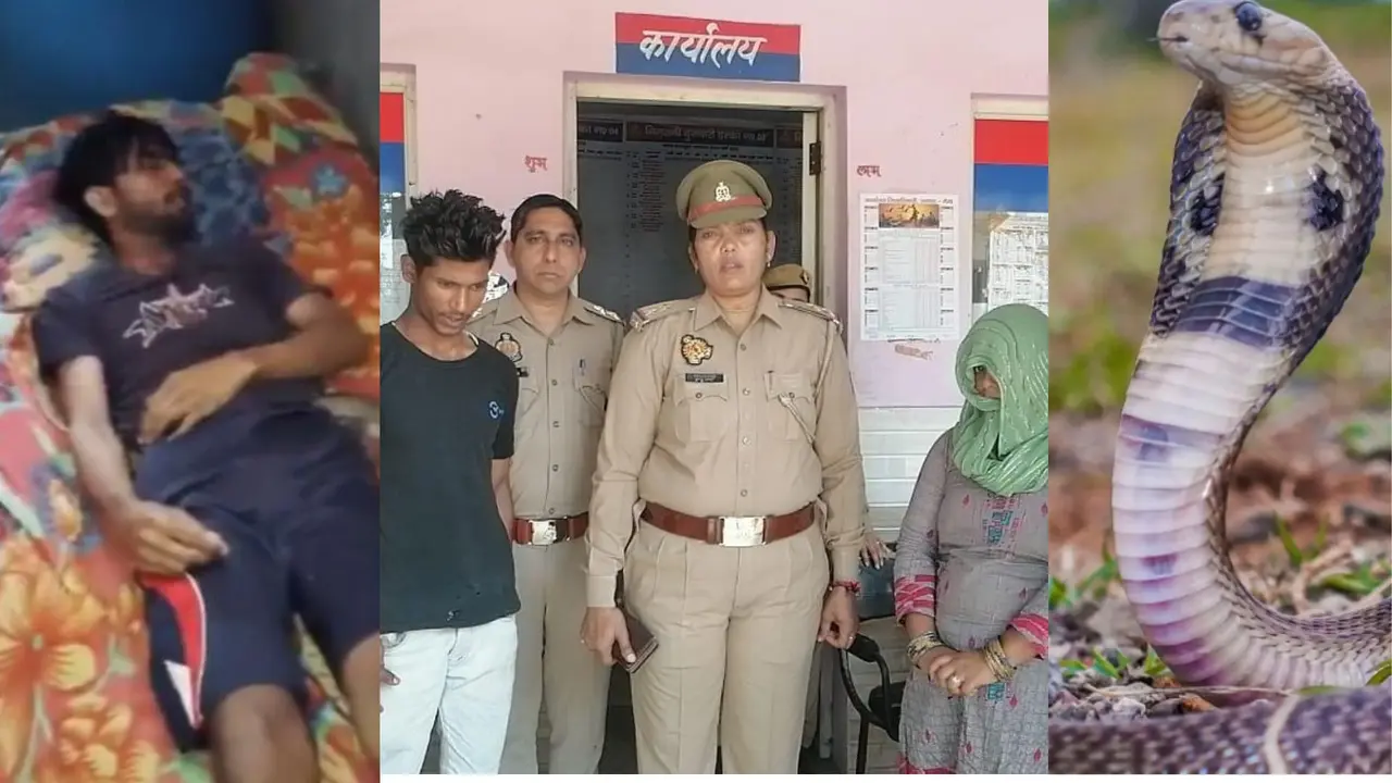 meerut shocker wife along with lover kill husband leave snake bed postmortem report uncovered murder plan