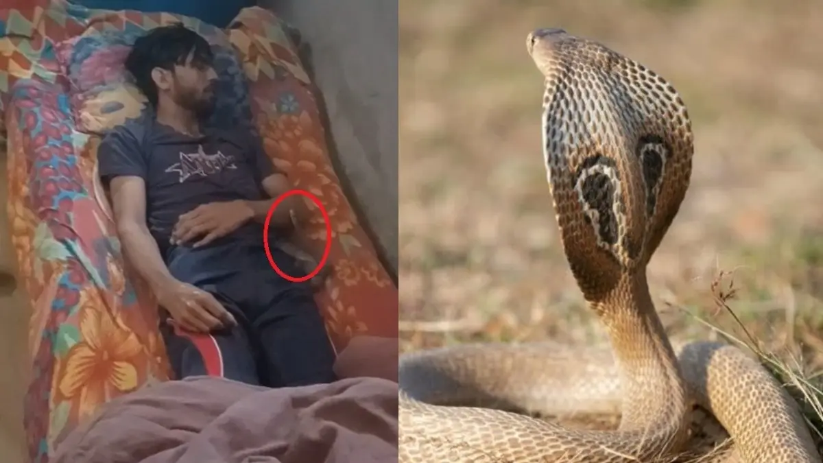 meerut-snake-bite-ten-time-man-dead