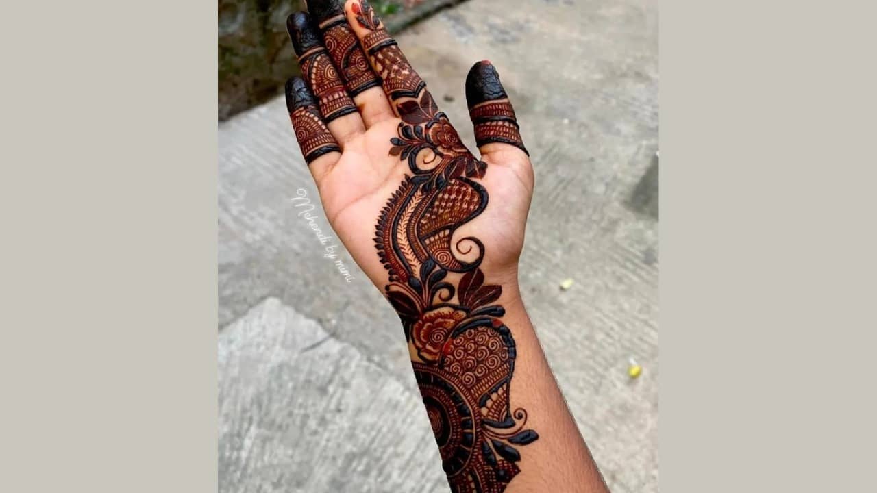 Description of the pic