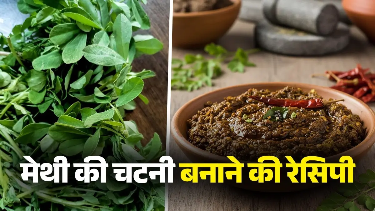 Methi Ki Chutney Recipe: खाने का बढ़ जाएगा स्वाद जब खाएंगे घर में बनी मेथी की खट्टी-मीठी चटनी, नोट कर लें आसान विधि methi ki chutney easy recipe at home fenugreek khatti meethi chutney