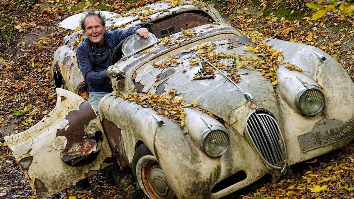 Description of the pic