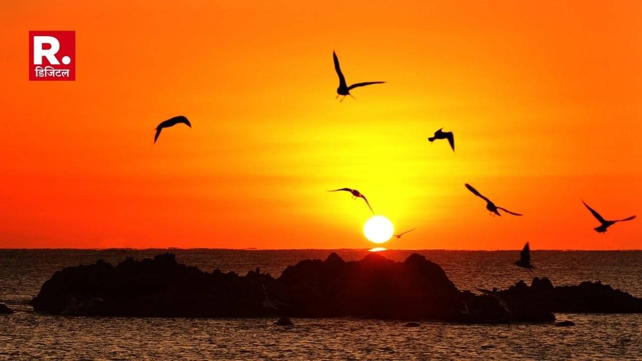 Description of the pic