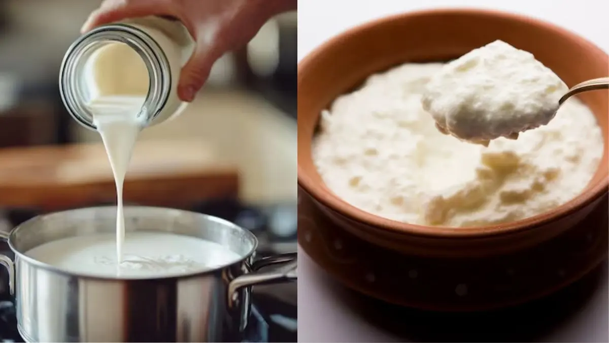 Milk For Thick Curd : गाढ़ा मलाईदार दही जमाने के लिए दूध को कितनी देर तक उबालना चाहिए? जान लें सही तरीका Milk For Thick Curd