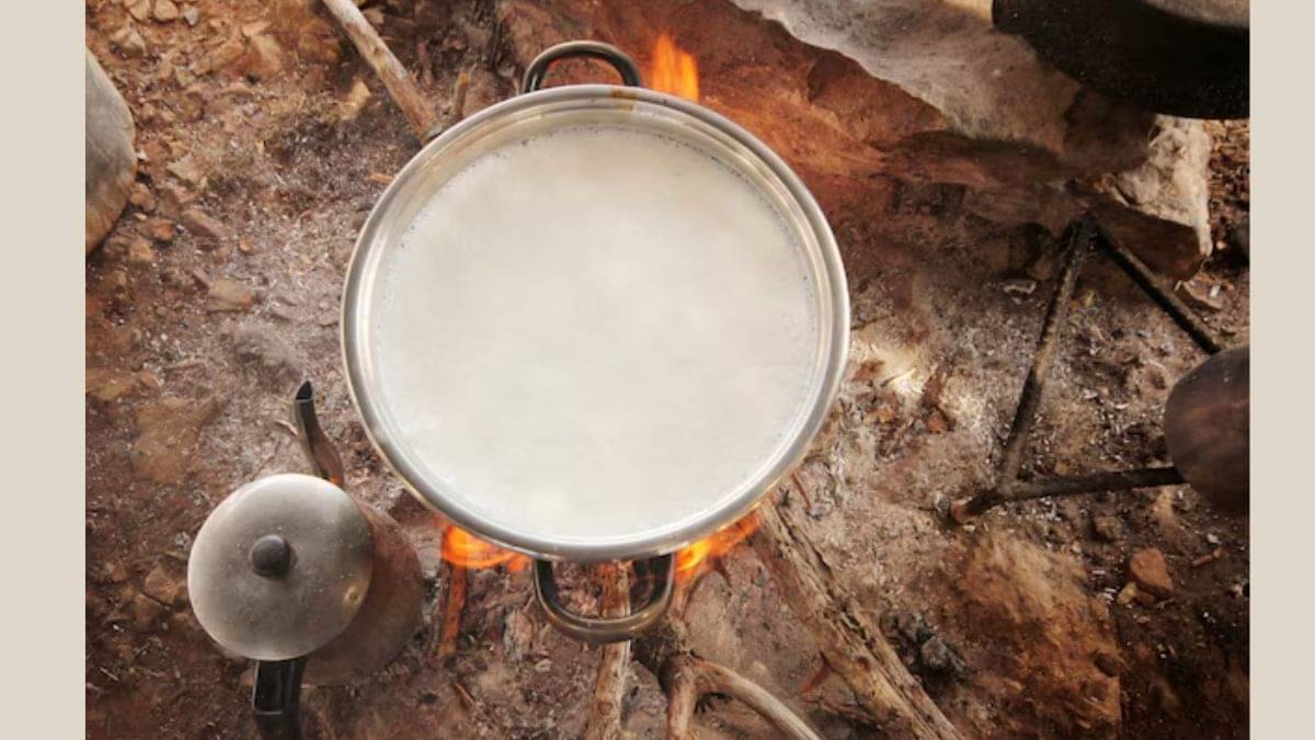 Description of the pic