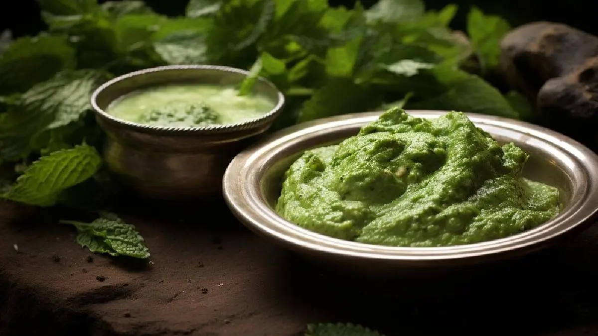 Mint Chutney Recipe