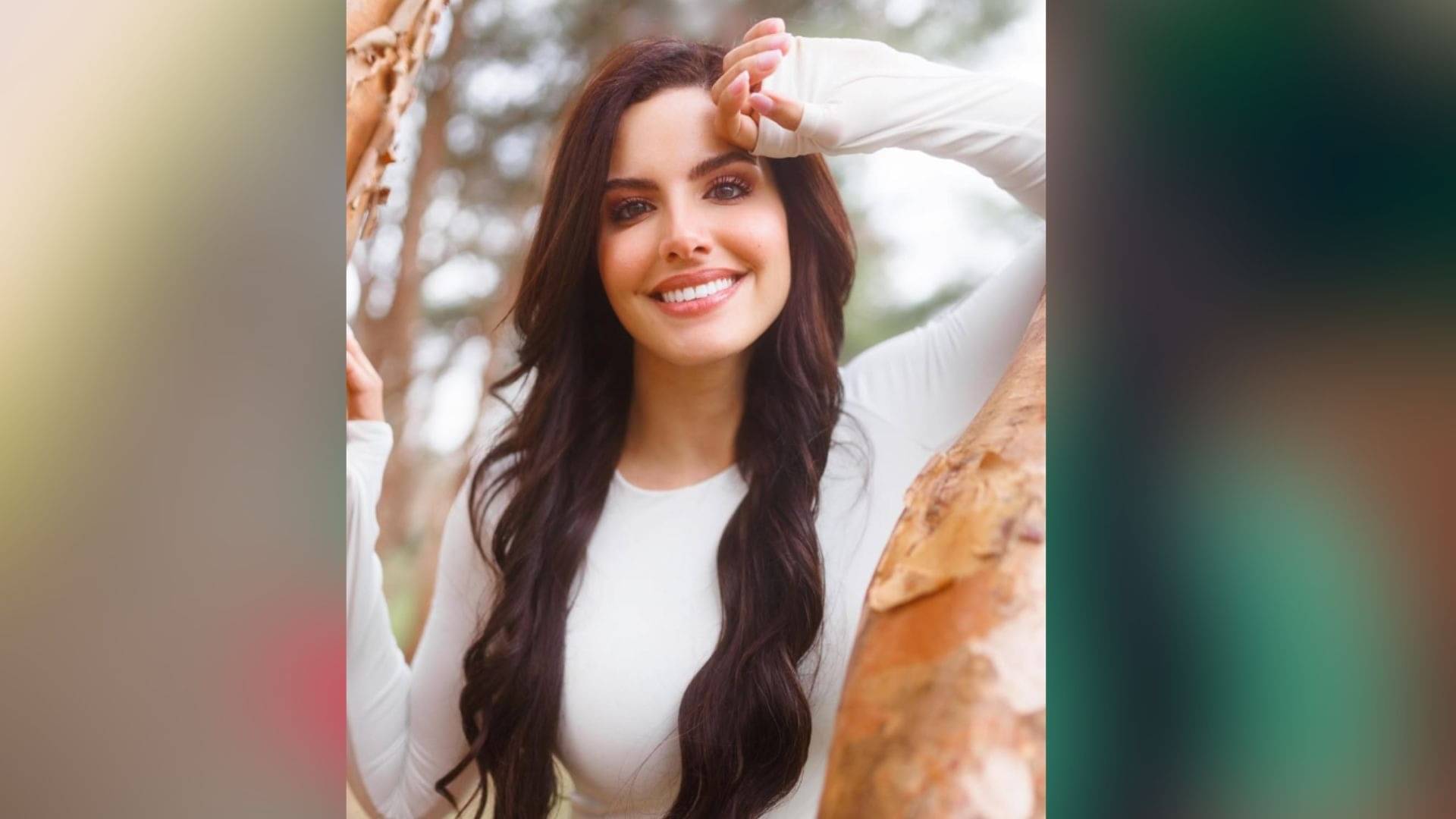 Description of the pic