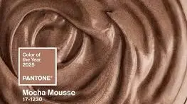 Mocha Mousse'