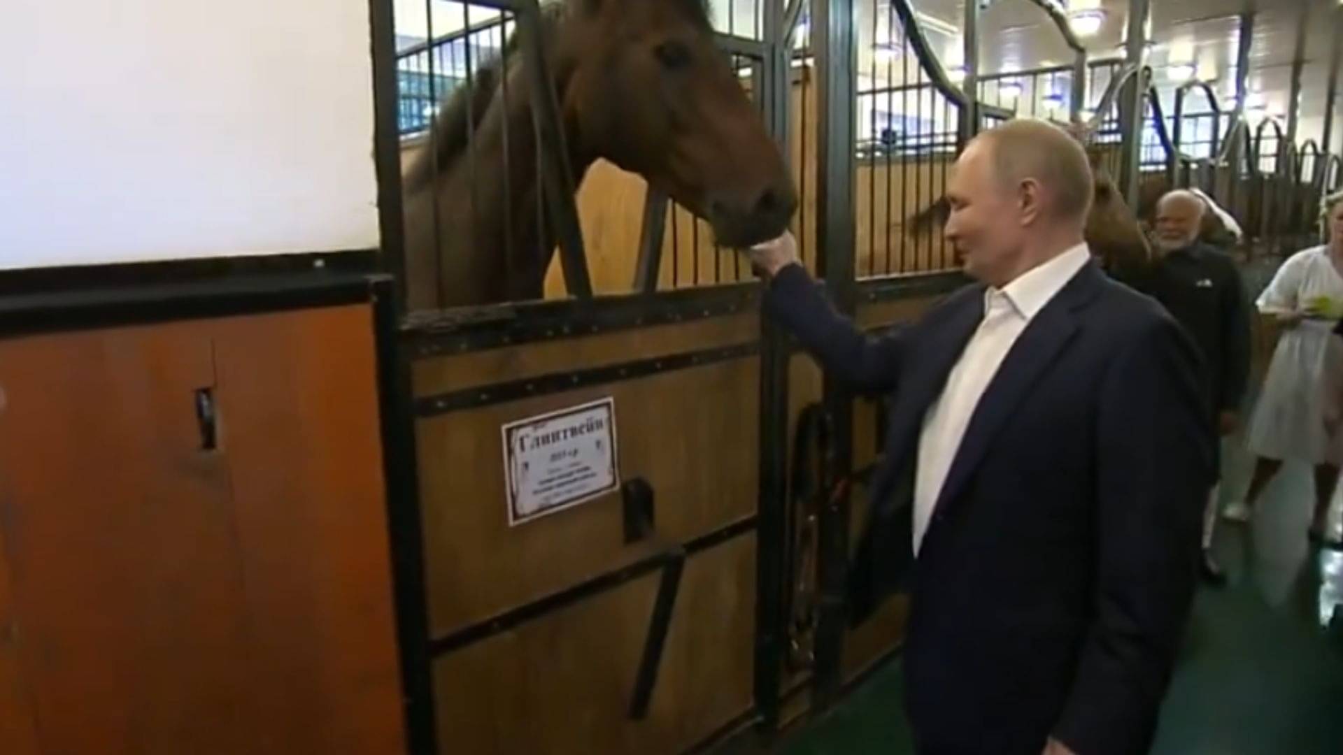 Description of the pic