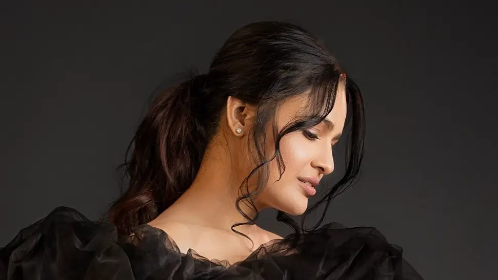 Description of the pic