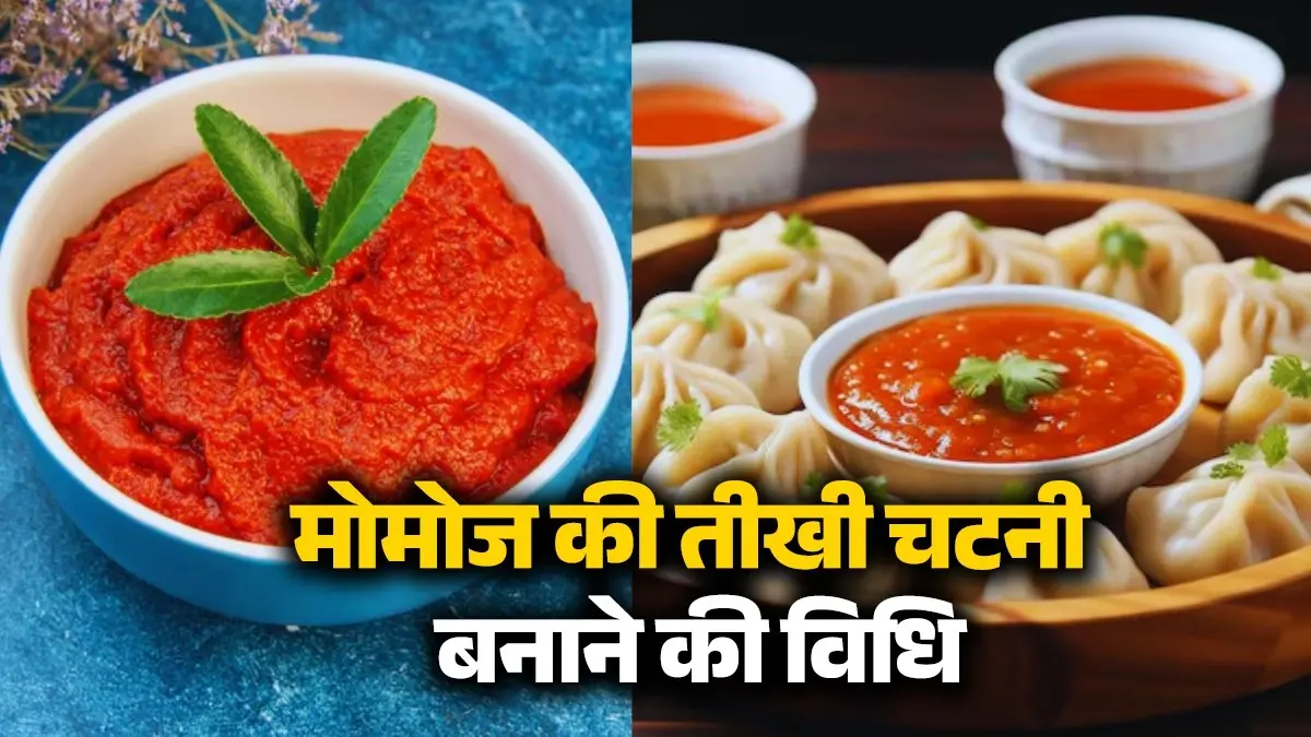 momos spicy chutney recipe easy and tasty teekhi chatni banane ki Vidhi