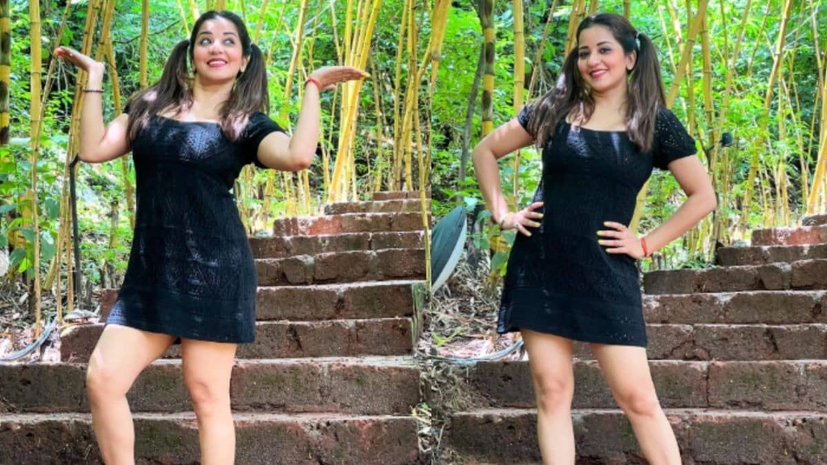 Description of the pic