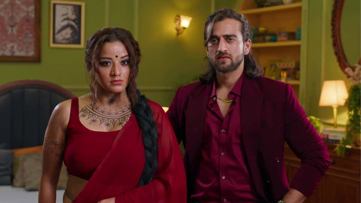 Description of the pic