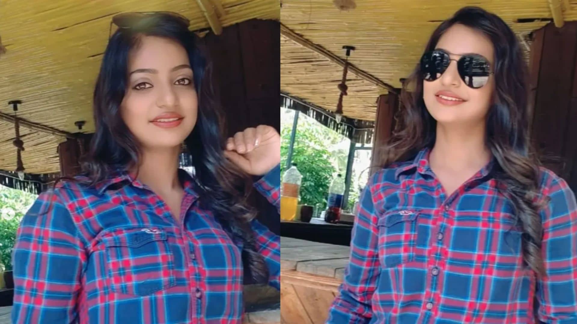 Description of the pic