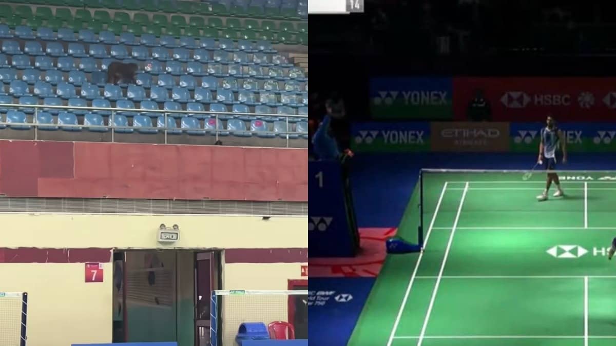 Monkey spotted at India Open Super 750