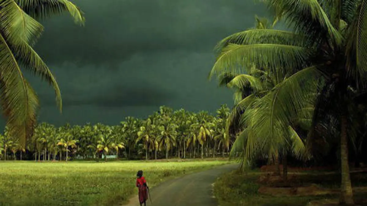 Monsoon Hits Kerala Marking Earliest Arrival In 16 Years, Boding Well For Agriculture