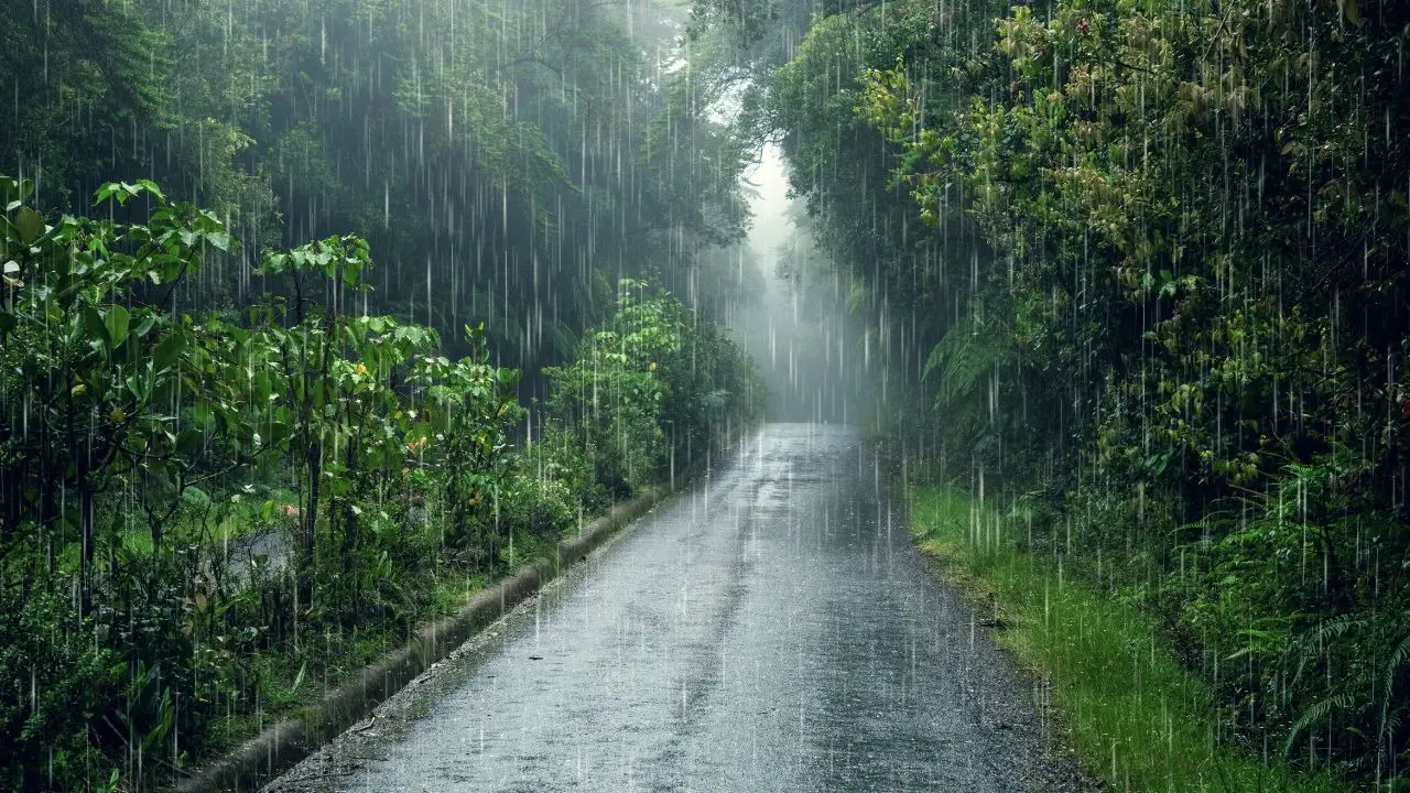 5 Genius Hacks To Get The Best Of Your Monsoon Trips Without Rain Getting In The Way Monsoon Travels