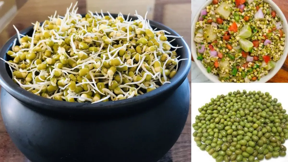 घर पर इन 3 तरीकों से बनाएं मूंग दाल स्प्राउट्स, सेहत के लिए फायदेमंद; वजन भी होता है कम moong dal sprouts