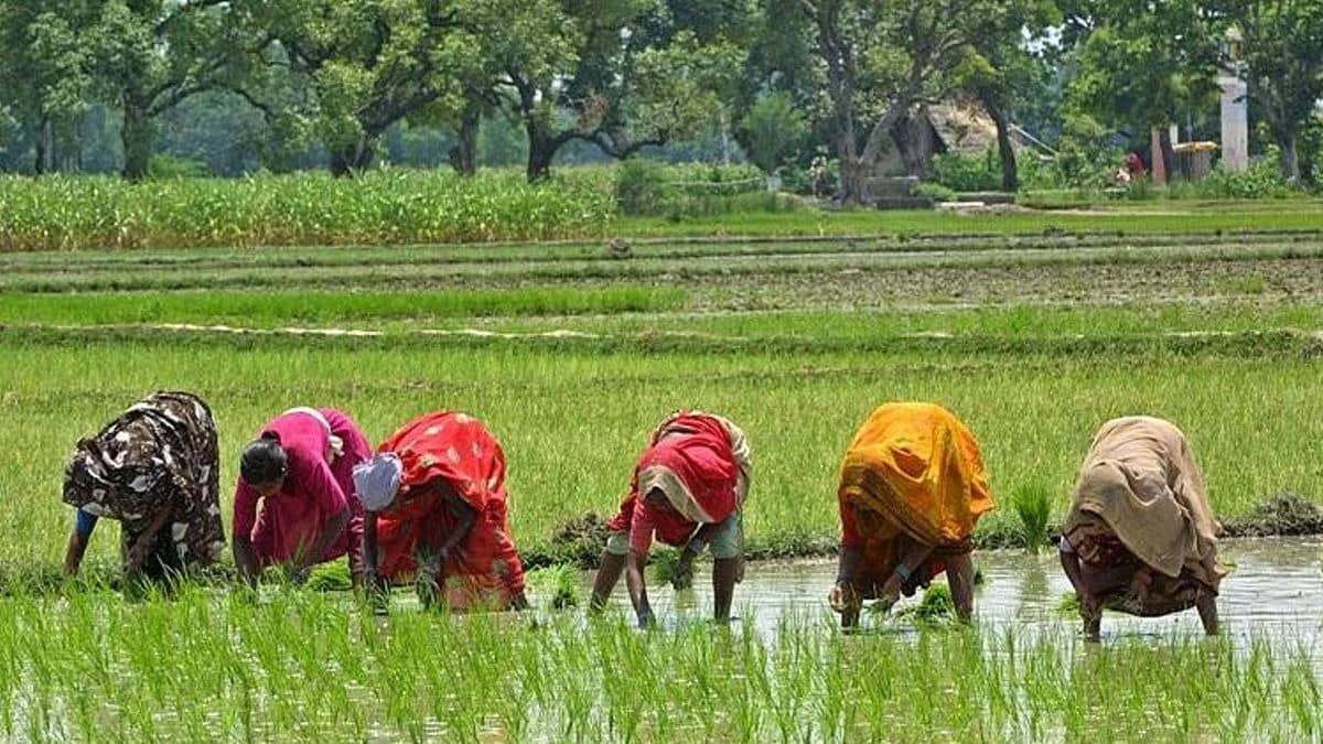 ‘More Work Days, Weekly Wages…’: MGNREGA Set For An Overhaul; Five Key Changes Govt Proposes In New Rural Job Guarantee Bill | Explained