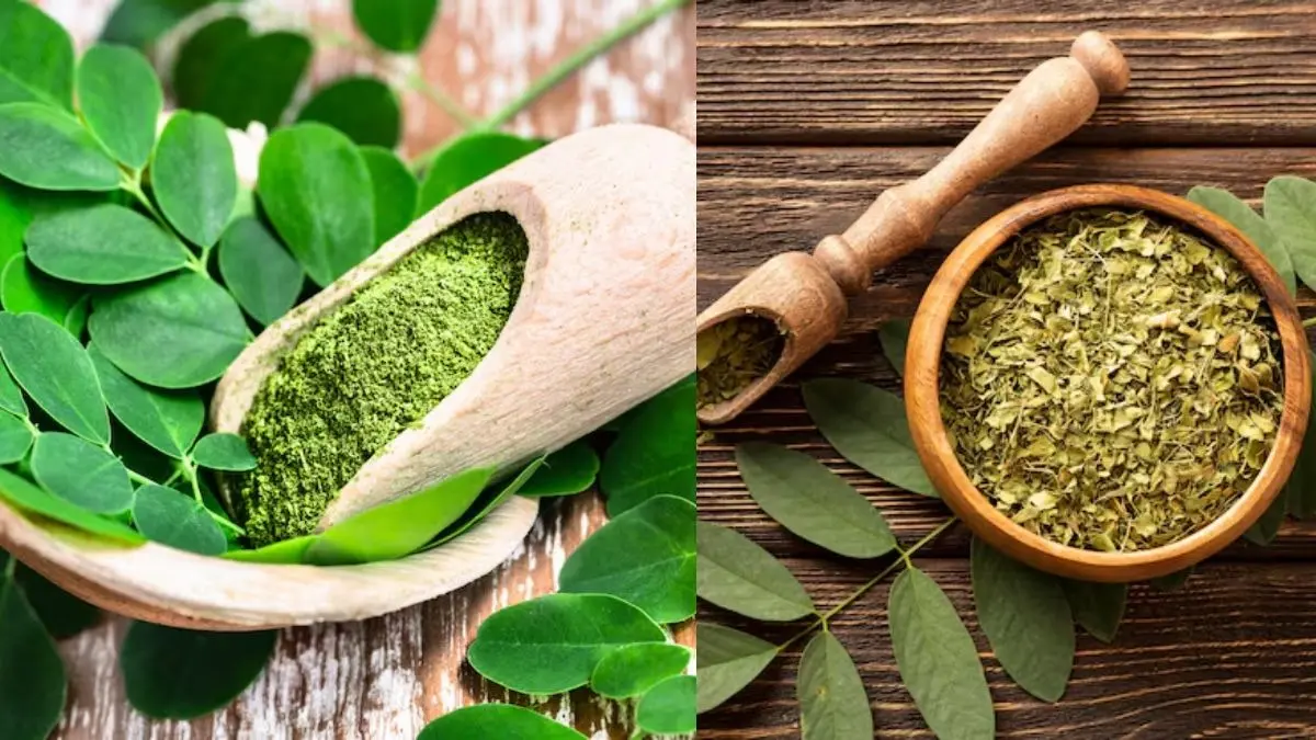 Moringa Leaves for Diabetic Patient